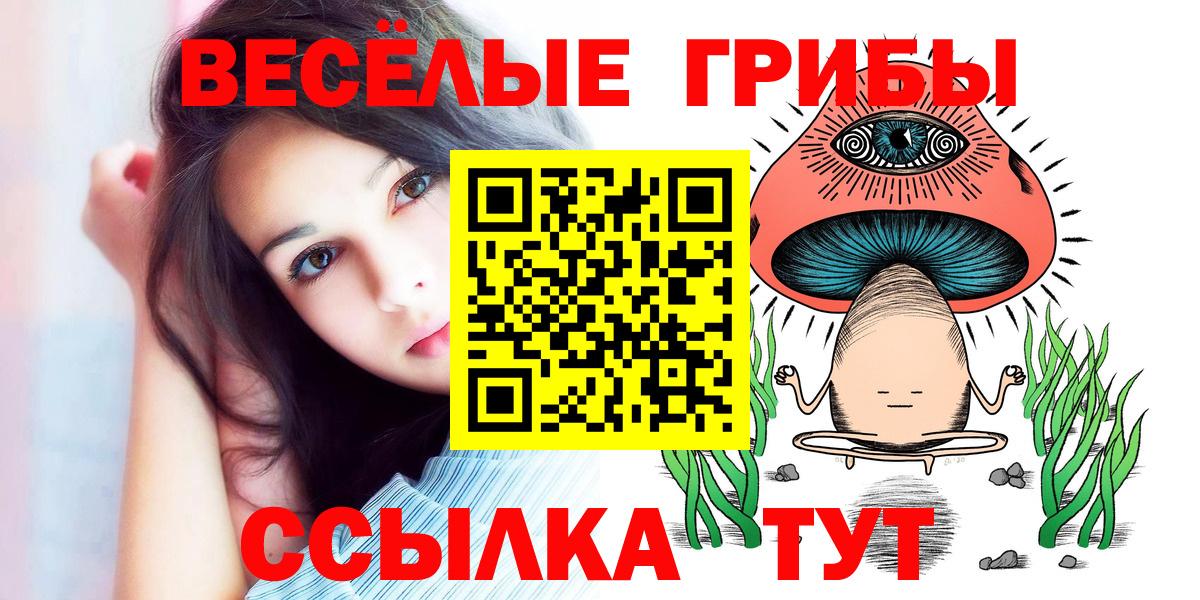 Псилоцибиновые грибы Cubensis  Галлюциногенные грибы GOLDEN TEACHER  Норильск  Вход с VPN 