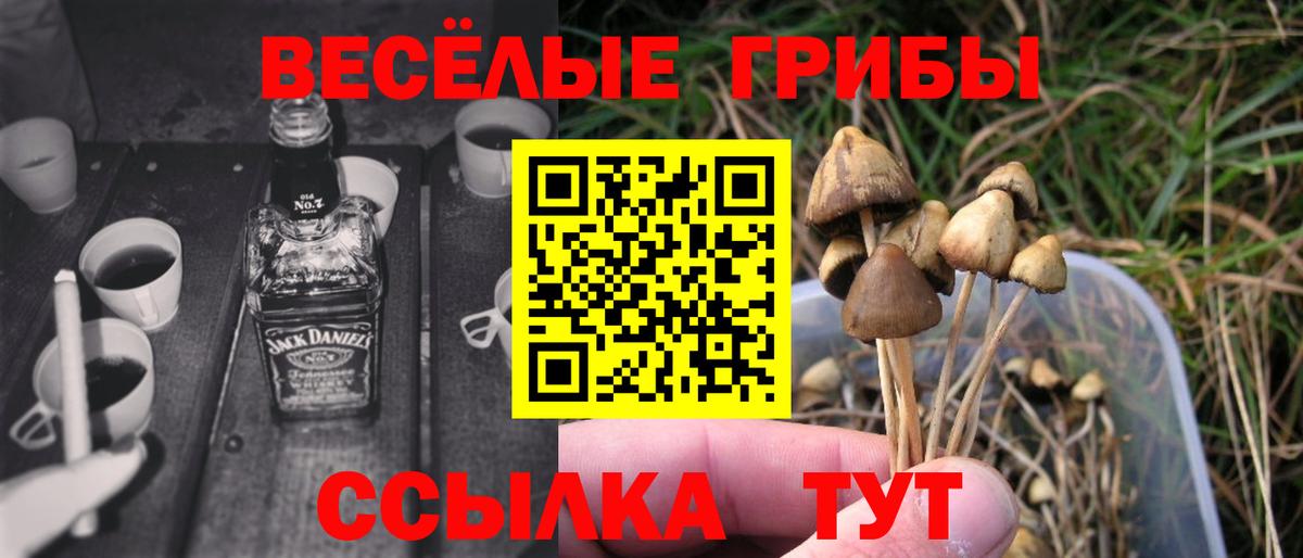 Галлюциногенные грибы ЛСД Норильск
